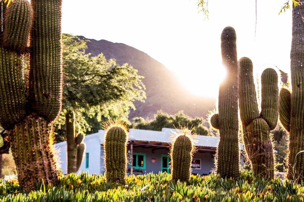 Miraluna Bodega Boutique Cachí エクステリア 写真