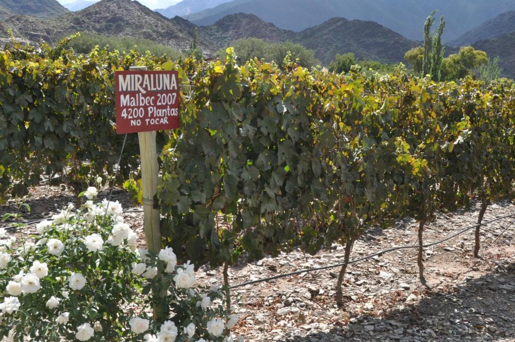 Miraluna Bodega Boutique Cachí エクステリア 写真