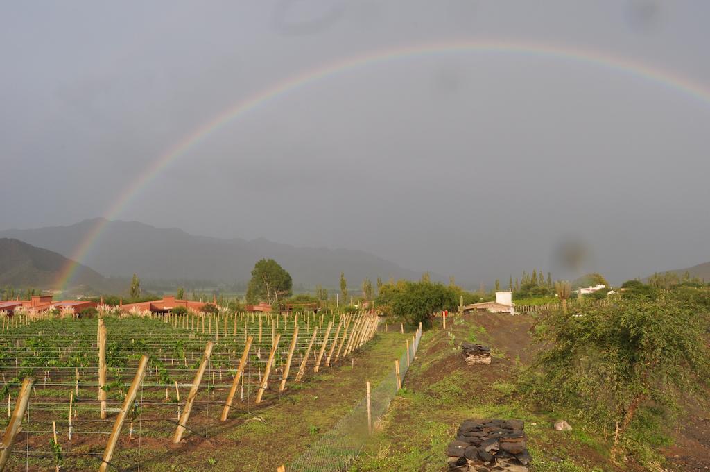 Miraluna Bodega Boutique Cachí エクステリア 写真