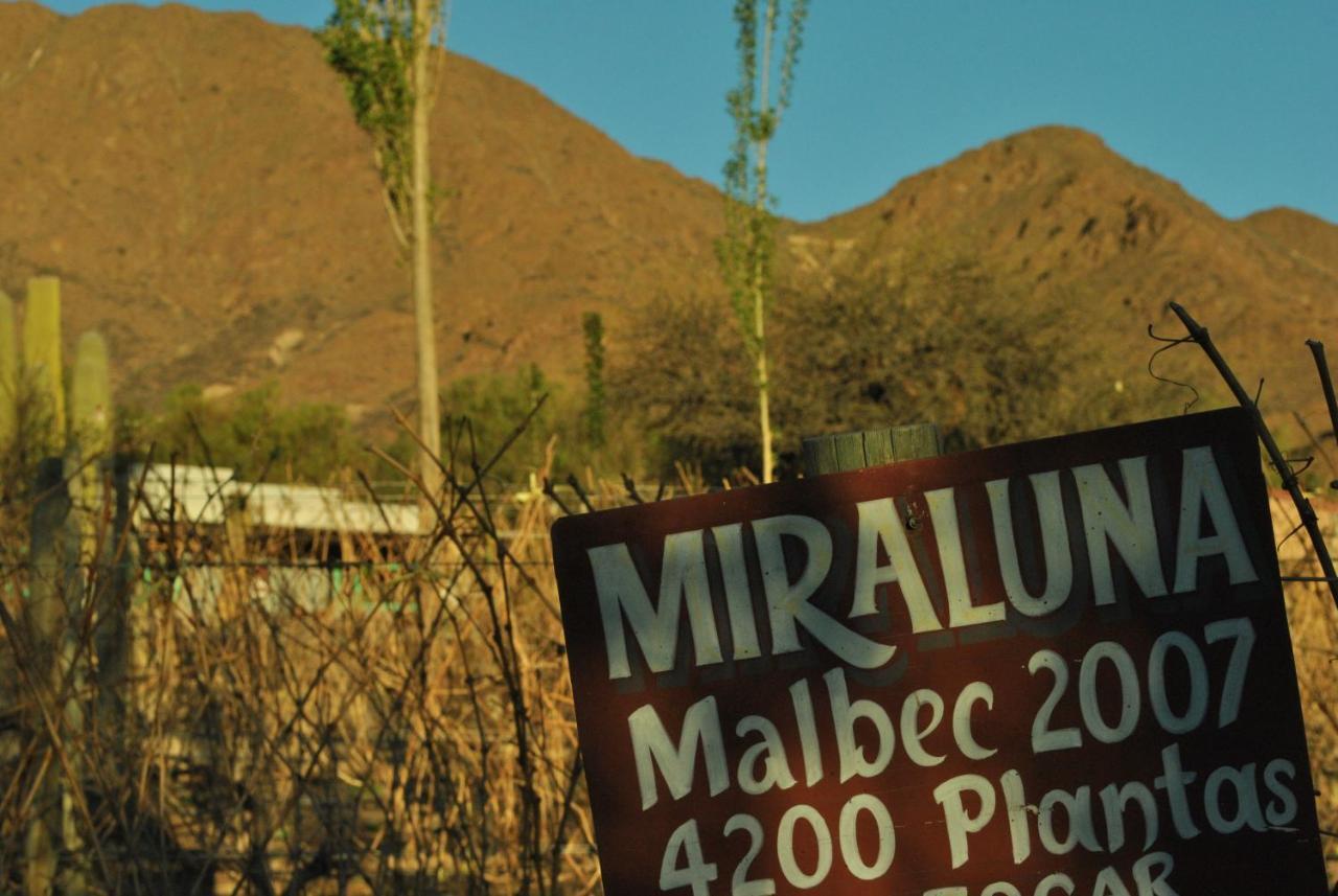 Miraluna Bodega Boutique Cachí エクステリア 写真